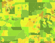 Color Pallet - Greens, Yellows, Browns