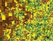 Color Pallets - Browns, Yellows, & Greens