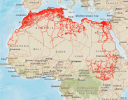 Lines - N.Africa Roads