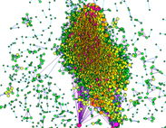 Network Graph - Scholarly Articles that Cite Each Other - Greens & Yellows